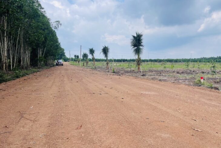 💥 250 TRIỆU – 1000m² ĐẤT NGAY ĐƯỜNG XUYÊN TÂM ĐỒNG PHÚ 💥