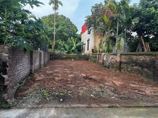 CHÍNH CHỦ MUỐN BÁN NHANH MẢNH ĐẤT 79M ĐƯỜNG OTO BẢO LỘC _ PHÚC THỌ _ HÀ NỘI