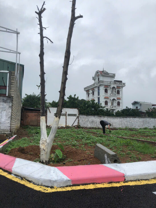 Đất nền Láng Hòa Lạc 100m2 giá 2.6 tỷ – gần khu đại học, dân cư văn minh, pháp lý rõ ràng Nguyễn