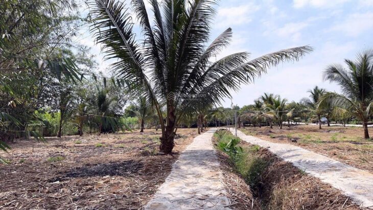 Cơ hội đầu tư độc tôn: Đất sổ hồng 580m² – ngay cổng B sân bay quốc tế Long Thành chỉ 4 tỷ đồng