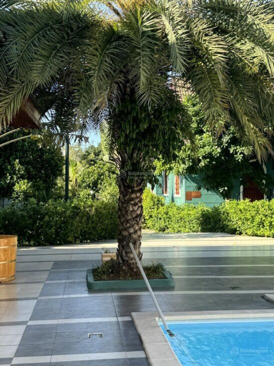 Bán trang trại đẹp ở Xã Cam Hải Tây, 20 tỷ, 2160 m2