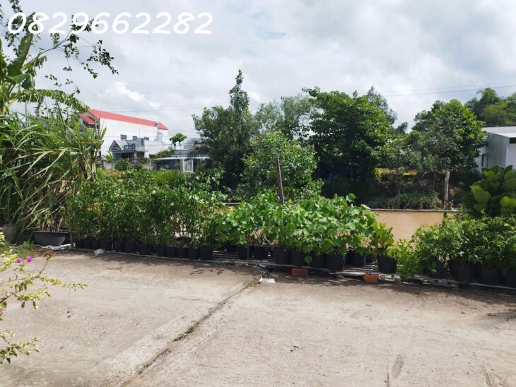 Bán Đất Thổ Cư Phạm Hồng Thái, Sa Đéc. 308m2, Sổ Hồng. Giá 2 Tỷ!