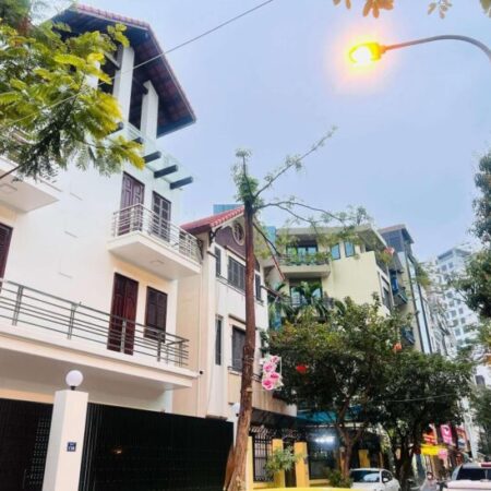 Bán biệt thự VIP phố Trường Chinh, lô góc, vỉa hè, gara, ô tô tránh, kinh doanh, an sinh tuyệt vời.
