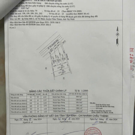 Bán Đất 2 Mặt Tiền Đường Nhựa ĐT-781 – Giá Cực Rẻ Tại Châu Thành, Tây Ninh