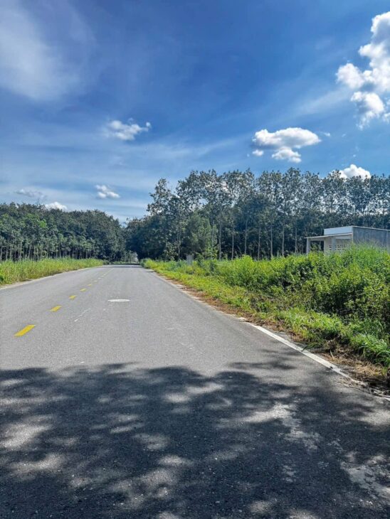 🌳 Bán gấp 200m² giá 230 triệu, thổ cư 100%, đường nhựa 7m 📍