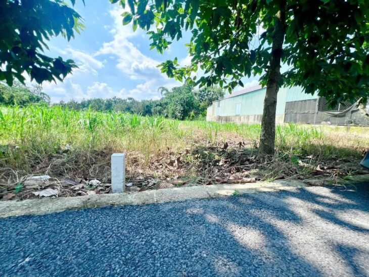 🏡 Đất 200m² thổ cư 100% giá 250 triệu, gần KCN, dân cư đông ⚡