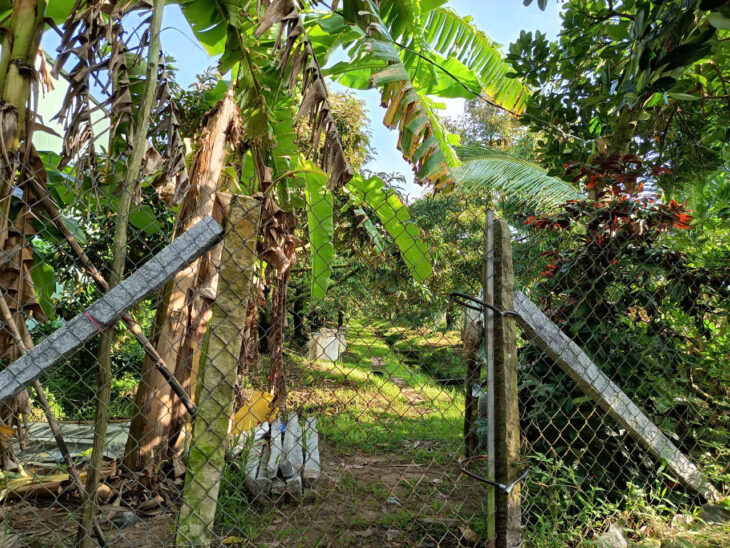 Chính Chủ Lô Đất Nền 2 Mặt Tiền Gần Ngã 3 và Ngã Tư Long Khánh, Phường Cai Lậy, Tiền Giang