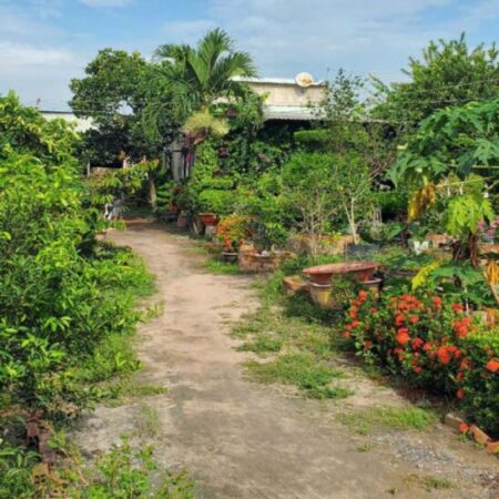Đất Vườn HXT 722m2, Nở hậu – Xuân Thới Thượng 2 HM