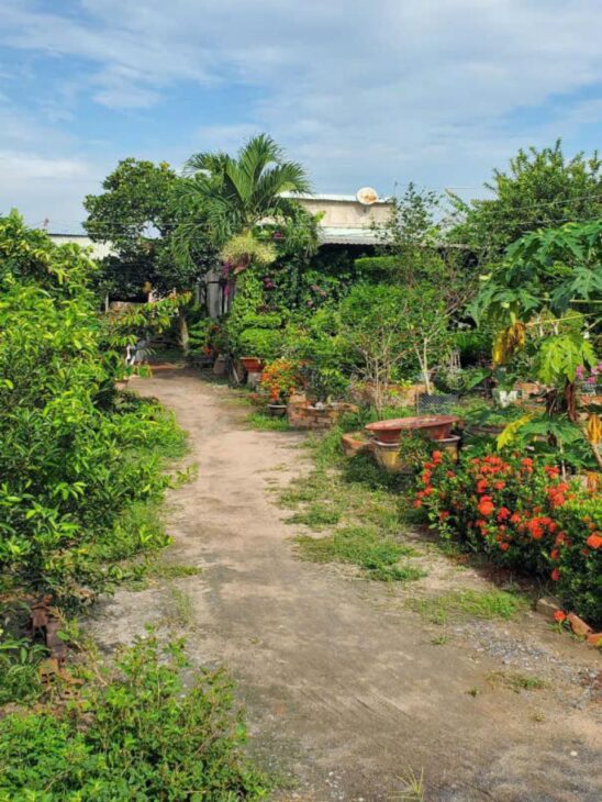 Đất Vườn HXT 722m2, Nở hậu – Xuân Thới Thượng 2 HM