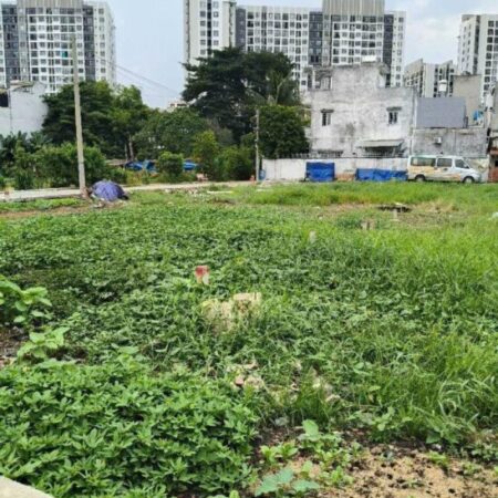 Đất HXT 56m2, Đ.7m, Vuông – Thạnh Xuân 14 Q12