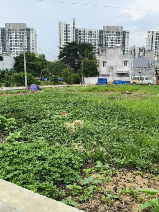 Đất HXT 56m2, Đ.7m, Vuông – Thạnh Xuân 14 Q12