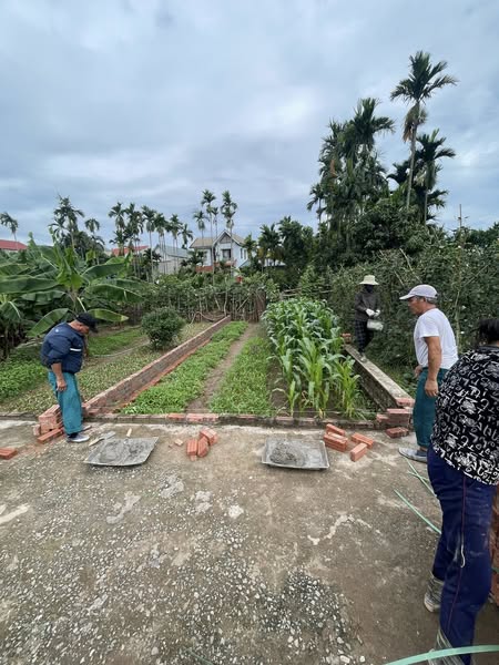 CHÍNH CHỦ GỬI BÁN LÔ 42M ĐẤT GIÁ RẺ TẠI THỌ LỘC – PHÚC THỌ