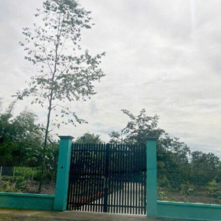 Đất Nở hậu Đường 8m thông 1851m2 – Cây Gỗ CC