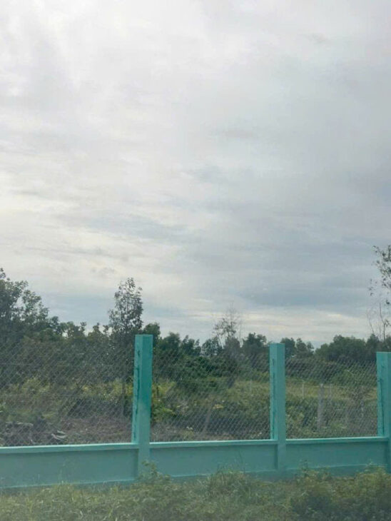 Đất Nở hậu Đường 8m thông 1851m2 – Cây Gỗ CC