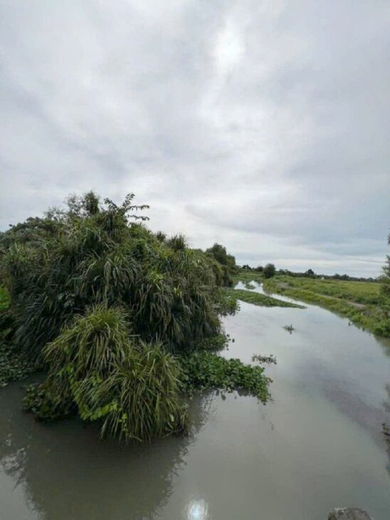 Đất Nở hậu Đường 8m thông 1851m2 – Cây Gỗ CC