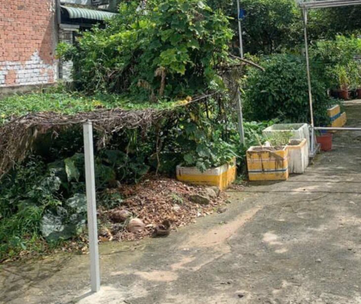 Giảm 150tr! Đất Vuông Hẻm xe tải tránh 120m2 – Thạnh Xuân 25 Q12