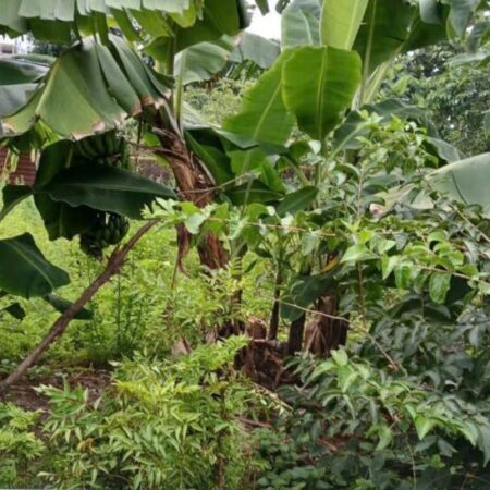 Giảm 50tr! Đất Vuông đẹp Hẻm Ôtô 89m2 – Thạnh Lộc 29 Q12