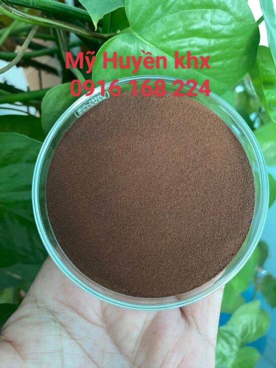 Nấm men bất hoạt – Giải pháp tự nhiên cho tôm cá khoẻ mạnh
