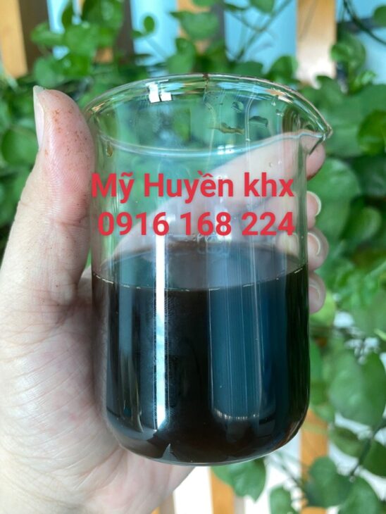Nấm men bất hoạt – Giải pháp tự nhiên cho tôm cá khoẻ mạnh