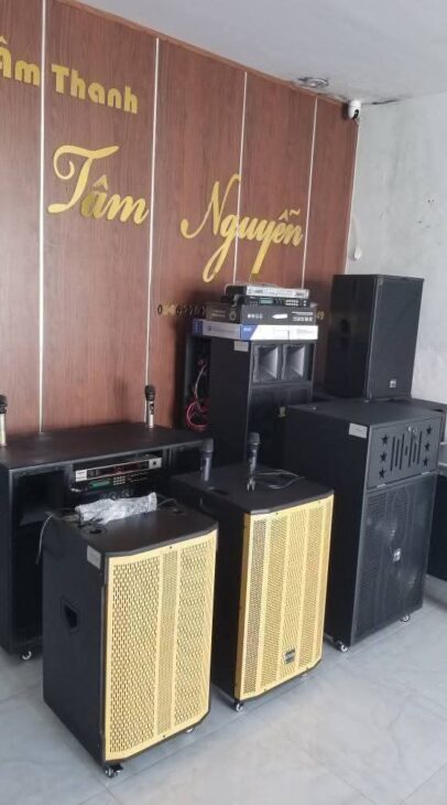 Loa hay cho thuê giá rẻ 300k đến 500k tại Cần Thơ
