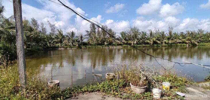 Bán Lô Đất Trang Trại 5000m² Tại Kiến Thụy – Hải Phòng, Vị Trí Tiềm Năng, Đầu Tư Sinh Lời Cao