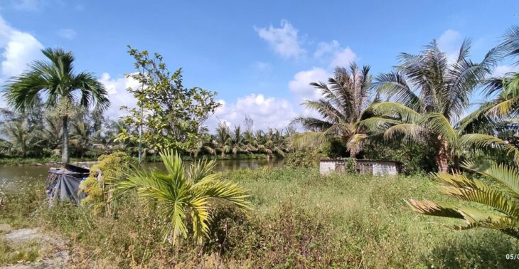 Bán Lô Đất Trang Trại Hơn 5000m² tại Kiến Thụy – Hải Phòng