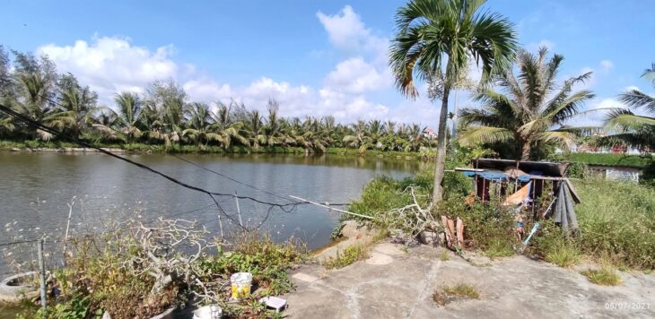 Bán Lô Đất Trang Trại Hơn 5000m² tại Kiến Thụy – Hải Phòng