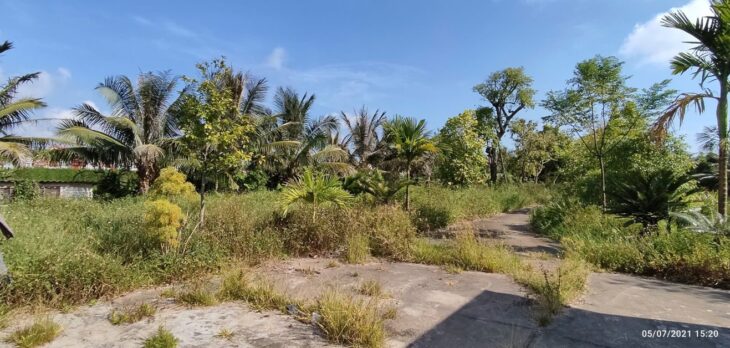 Bán Lô Đất Trang Trại Hơn 5000m² tại Kiến Thụy – Hải Phòng