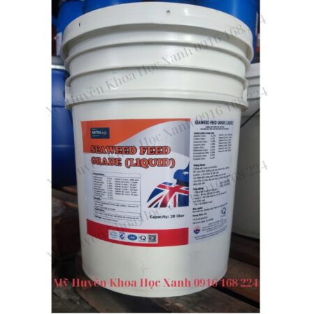 SEAWEED FEED GRADE – tảo biển hữu cơ 100%