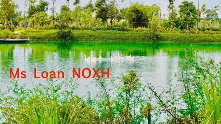 Sân bay Quốc tế Long Thành bạn đã sở hữu nhà ở xã hội chưa
