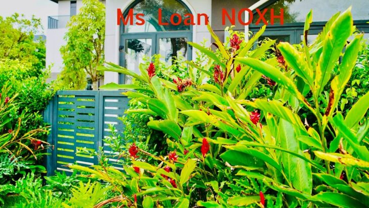 Căn hộ xã hội nhận đăng ký tham quan nhà mẫu tại đây