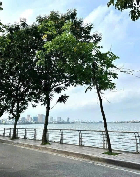 BÁN TÒA NHÀ MẶT PHỐ VÕNG THỊ, VIEW HỒ TÂY – 102M² x 10T THANG MÁY – CÓ HẦM – GIÁ 52 TỶ