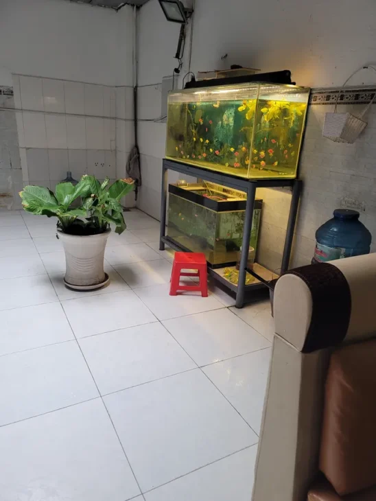 MẶT TIỀN KINH DOANH VIP ĐƯỜNG SỐ 11 BÌNH TÂN, 96M2, 4 TẦNG, 4PN, SỔ HỒNG CHÍNH CHỦ – GIÁ CHỈ HƠN