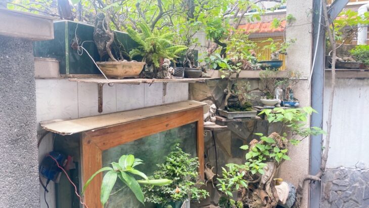 Bán nhà một đời chủ, CMT8, Quận 3 – 90m2 ngang lớn 6m chỉ 20m ra MT giá nhỉnh 7T
