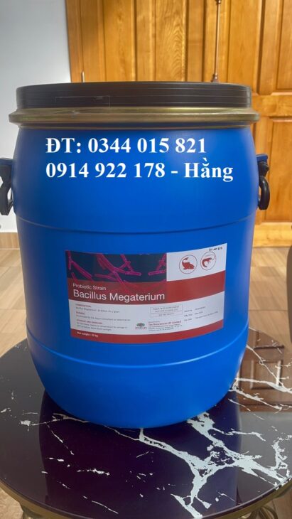 BacillusMegaterium, men vi sinh đường ruột cho thú y, thủy sản BacillusMegaterium, men vi sinh đường ruột cho thú y, thủy sản