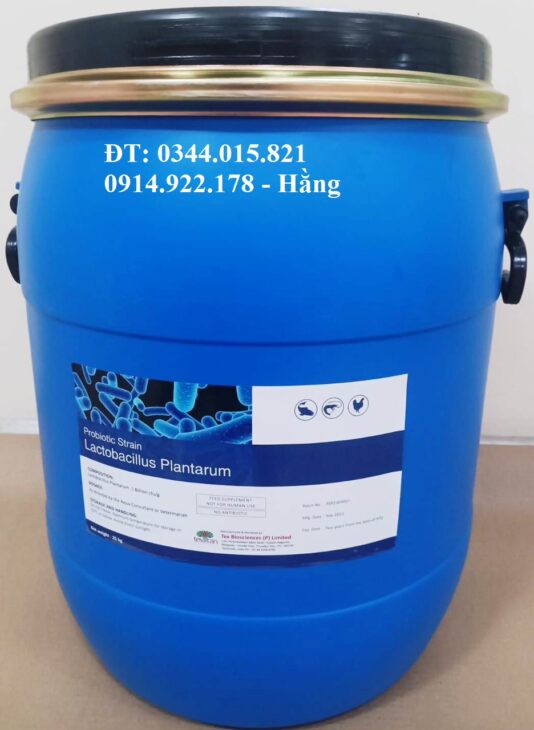 Lactobacillus Plantarum, men vi sinh đường ruột tôm cá