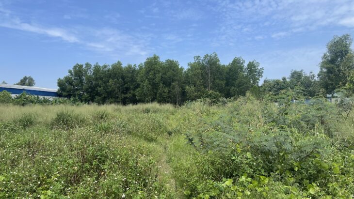 Bán Đất xây xưởng 8600m2 Trảng Bom Đồng Nai giá 29,5 tỷ