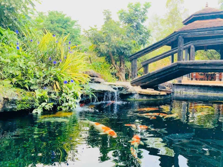 Biệt phủ gỗ của nghệ sĩ Hoàng Mập với Dt 1600m2, toàn bằng gỗ Lim và Linh đàn,để lại hết Nt Gỗ cao
