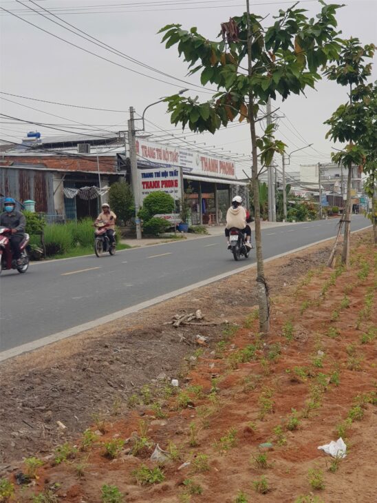 ĐẤT ĐẸP – GIÁ RẺ- Bán Nhanh Lô Đất Tiềm Năng Tại QL N2 CAO LÃNH, ĐỒNG THÁP