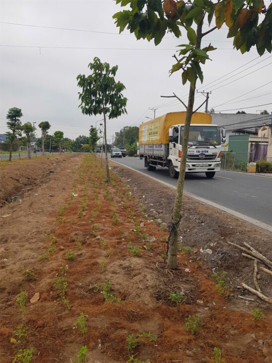 ĐẤT ĐẸP – GIÁ RẺ- Bán Nhanh Lô Đất Tiềm Năng Tại QL N2 CAO LÃNH, ĐỒNG THÁP