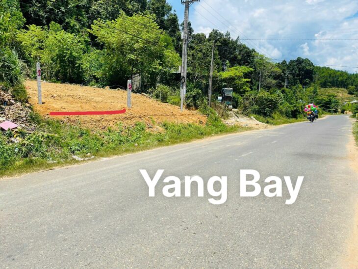 Bán GẤP Lô Đất Tiềm Năng Tại mặt tiền đường đi khu du lịch YangBay,Xã Khánh Phú Khánh Vĩnh, KH