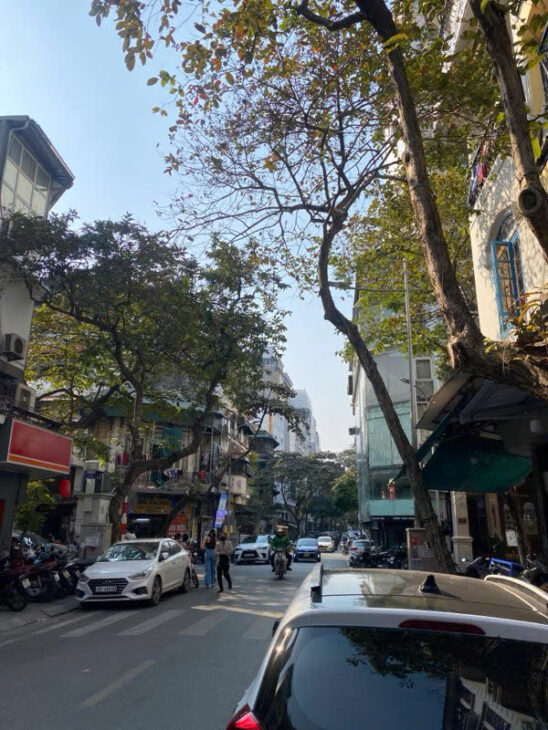 MẶT PHỐ CỔ HÀNG PHÈN – 57M² – SỔ VUÔNG – 1 SỔ 1 CHỦ – CHỈ 45,3 TỶ