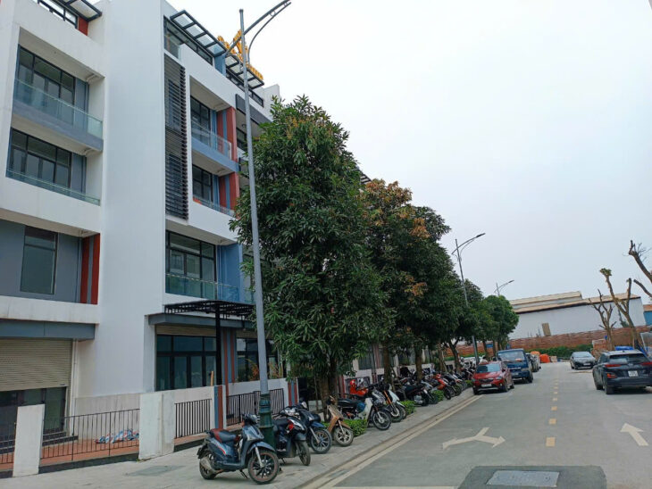 CHÍNH CHỦ CHO THUÊ LIỀN KỀ / SHOPHOUSE – BÌNH MINH GARDEN – HÀ NỘI