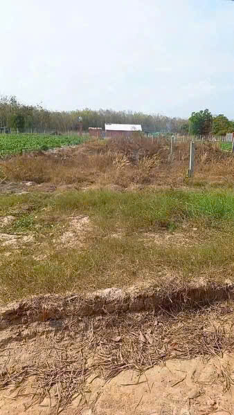 💥 490 TRIỆU – BÁN GẤP 2000m² ĐẤT GẦN ĐƯỜNG 65M 💥