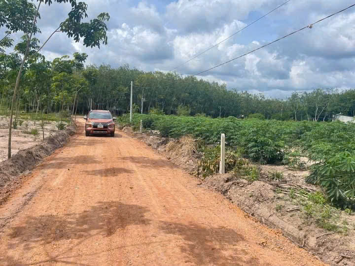 💥 490 TRIỆU – BÁN GẤP 2000m² ĐẤT GẦN ĐƯỜNG 65M 💥