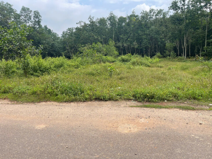 🌟 💰 Đầu Tư Sinh Lời: Đất Thổ Cư 125,1m² gần KCN Bàu Xéo & Giang Điền – Giá 1,05 Tỷ