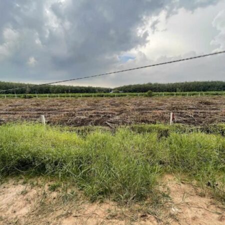 ĐẤT ĐẸP – GIÁ TỐT – Bán GẤP 5 Lô Đất Tiềm Năng Tại Ấp Long Cường, Xã Long Thuận, Tây Ninh