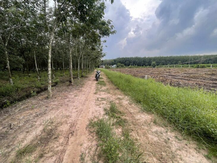 ĐẤT ĐẸP – GIÁ TỐT – Bán GẤP 5 Lô Đất Tiềm Năng Tại Ấp Long Cường, Xã Long Thuận, Tây Ninh