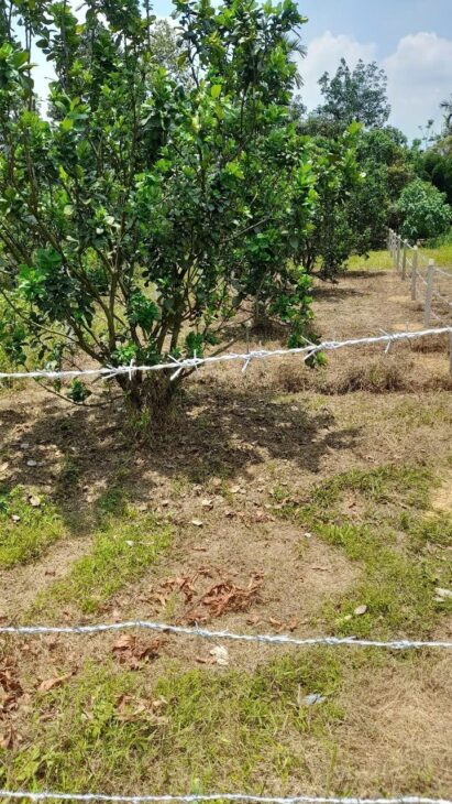 ĐẤT ĐẸP – GIÁ TỐT – Bán GẤP Lô Đất Tiềm Năng Tại xã Mỹ Đức, tỉnh Lâm Đồng