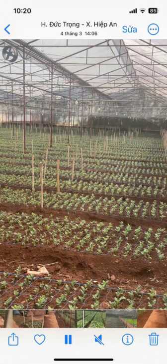 HẠ GIÁ KỊCH SÀN – BÁN GẦN 5000M2 HIỆP AN – GIẢM 5 TỶ